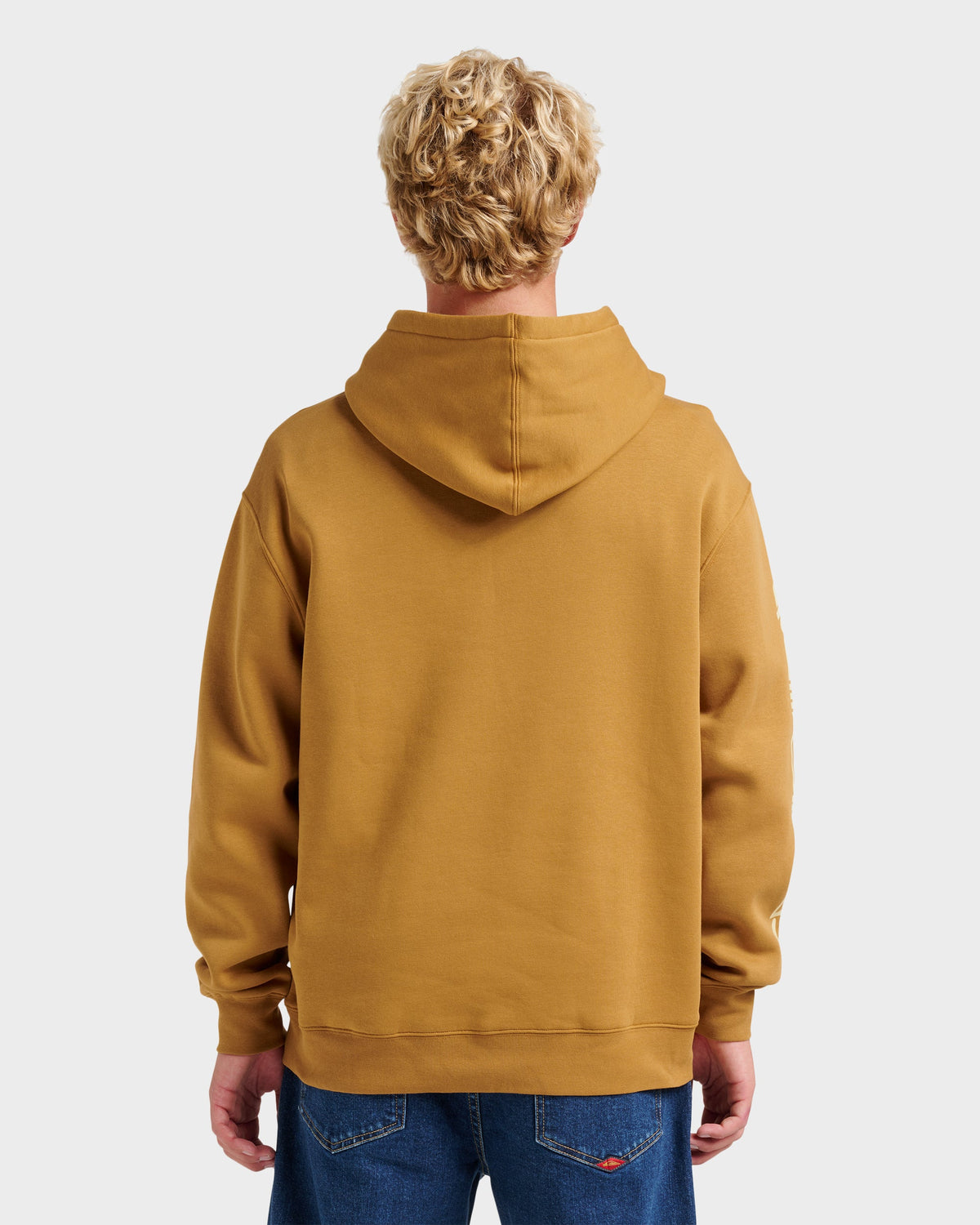 Passage Logo Hoodie - Wood Thrush