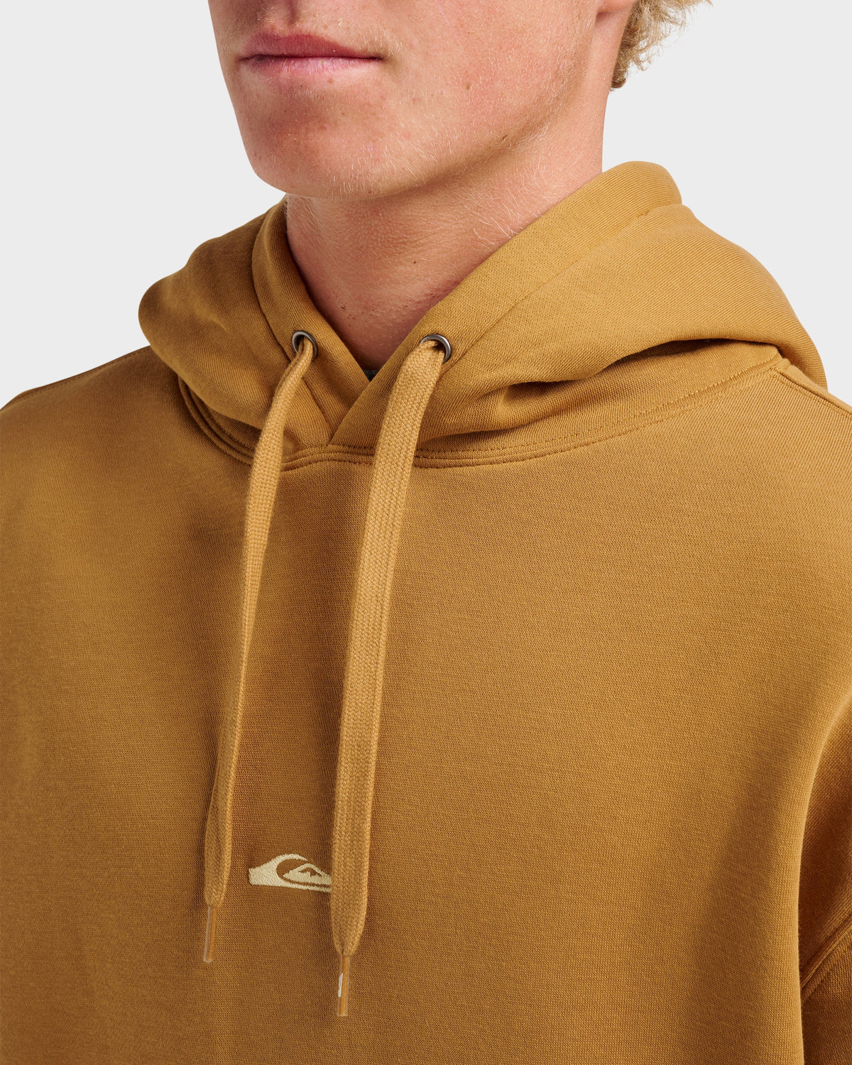 Passage Logo Hoodie - Wood Thrush